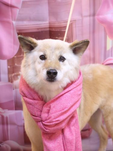 20241212れんくん